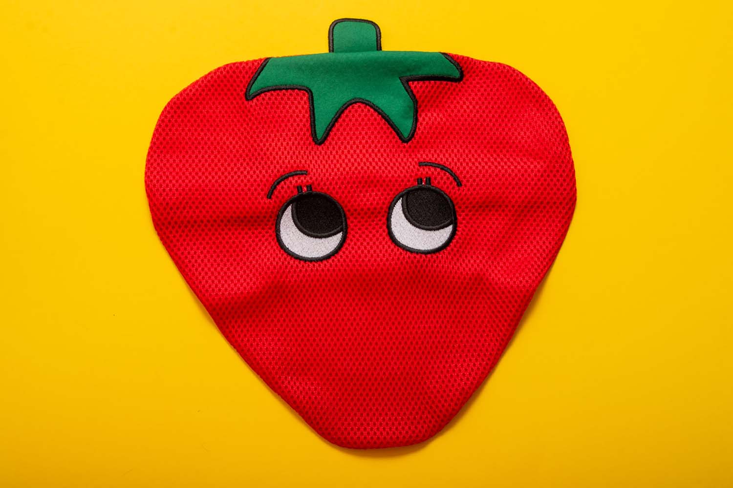 Strawberry Wash Bag